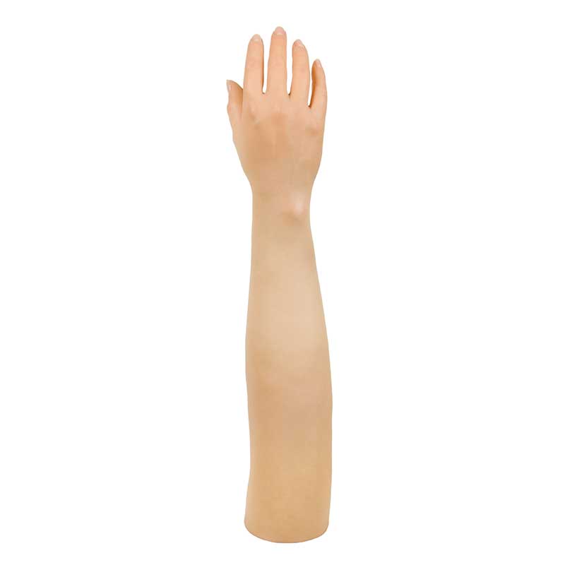 Bild von Artikel Damenhandschuh-lang